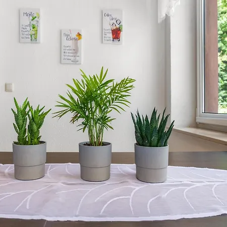 Modern In With A Terrace In Sebnitz