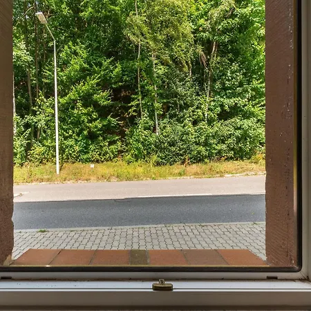 Apartment Modern In With A Terrace In Sebnitz